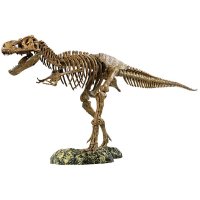 EDU Experimentierkasten XL Tyrannosaurus Rex