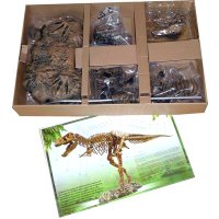 EDU Experimentierkasten XL Tyrannosaurus Rex
