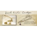 Bausatz Leonardo Da Vinci Ornithopter